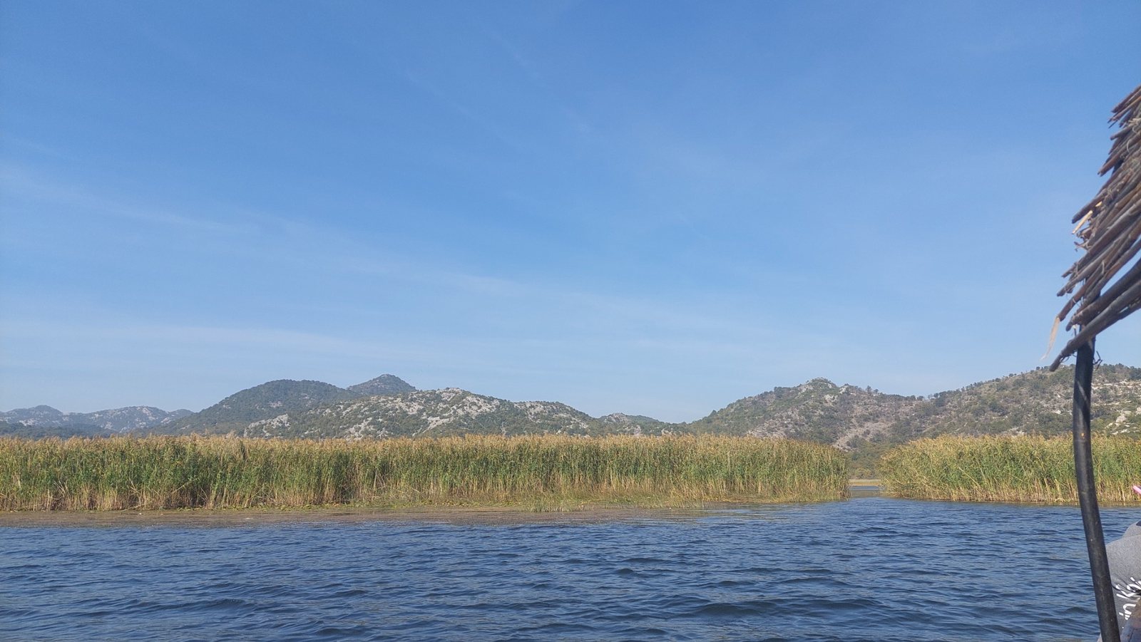 Private boat cruise through the water lilies of Lake Skadar